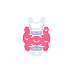 Thyroid 